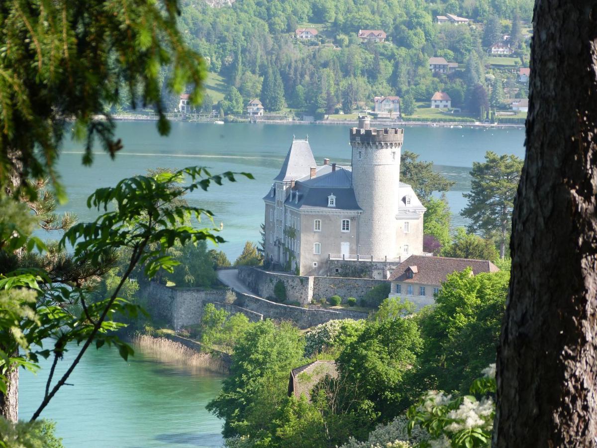 Au Bord Du Lac D'Annecy, Logement Type Loft, Dans Residence Avec Plage Et Ponton Privee Duingt Exteriér fotografie